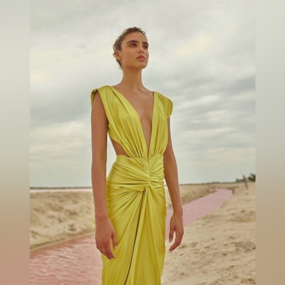 Baobab Light Pistachio Nia Dress- Worn Once!